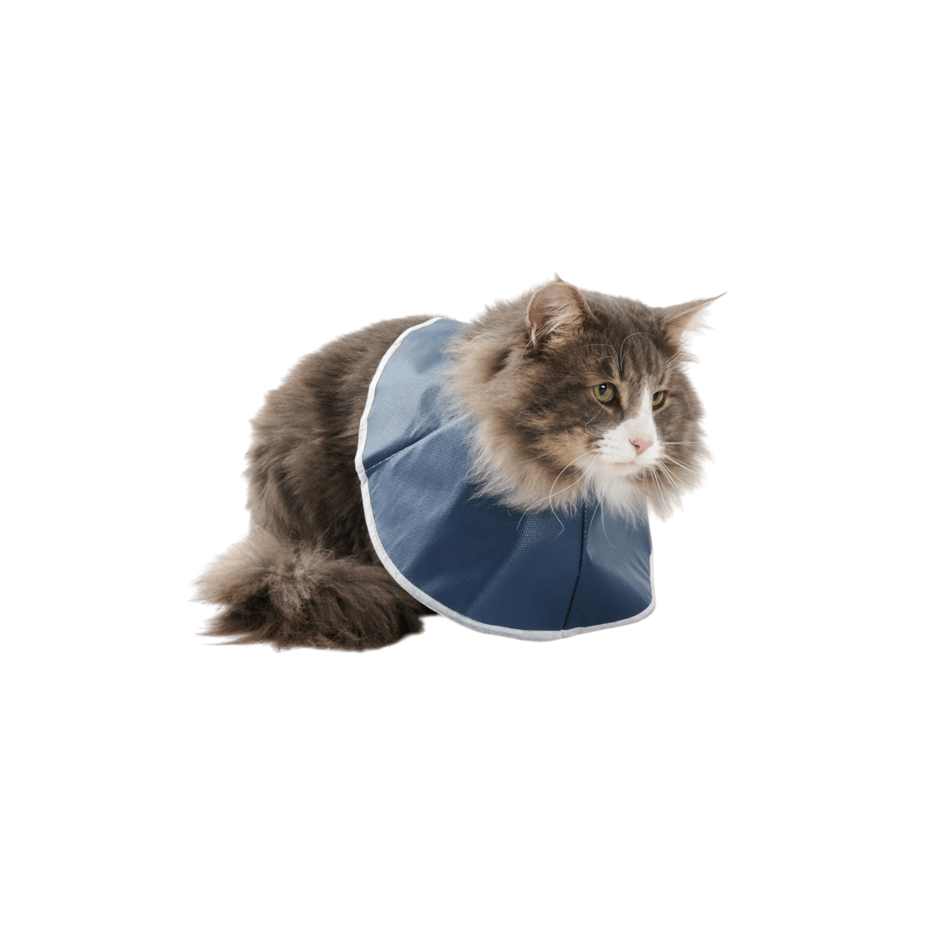 Límec ochranný BUSTER Soft Collar pro kočky 14cm 10ks