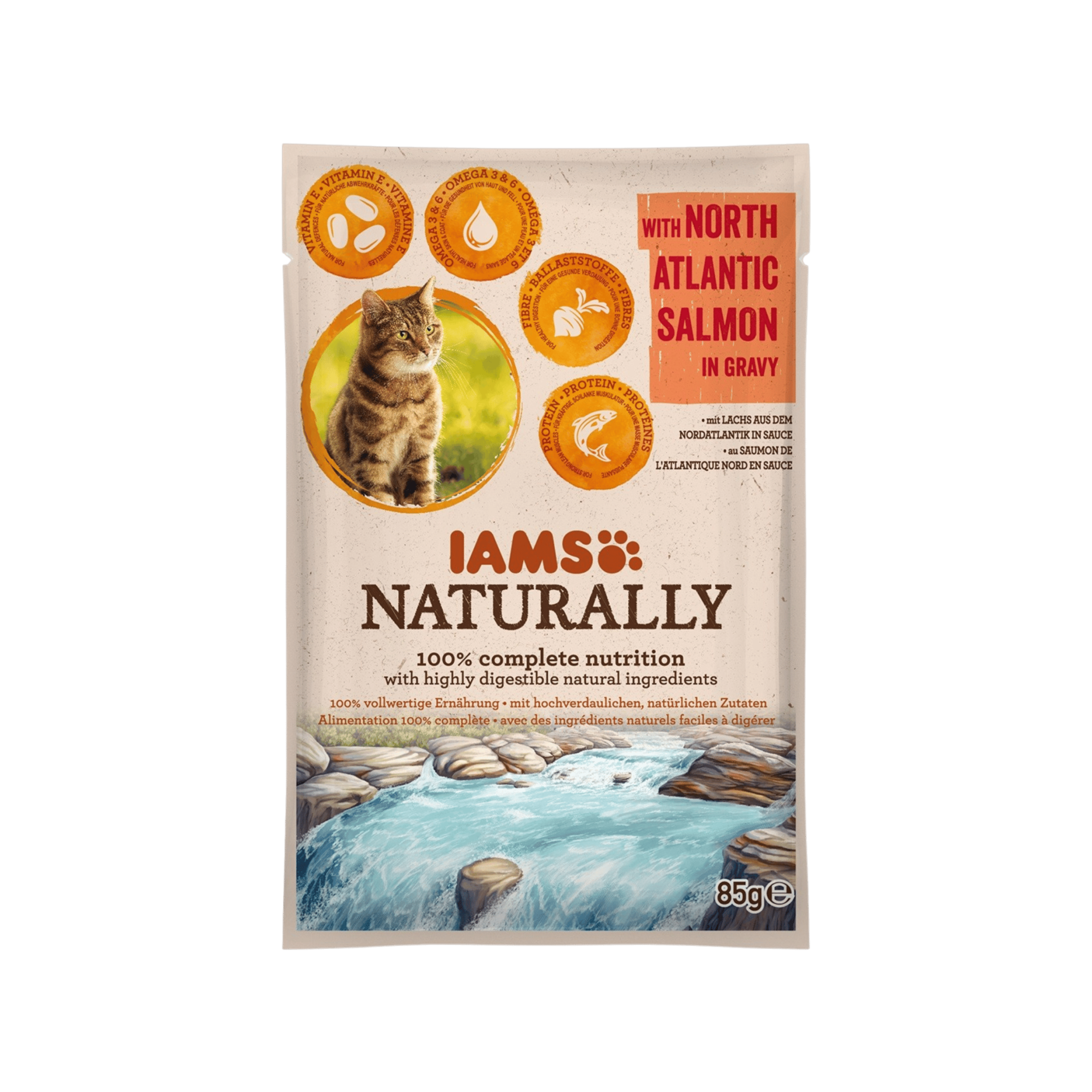Iams Cat Adult losos v omáčce kapsa 85g