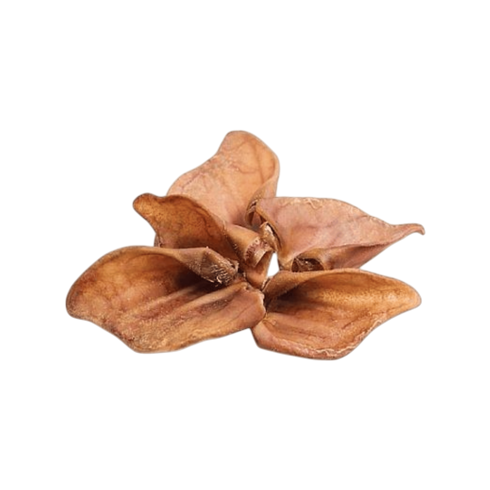 Pochoutka Ucho hovězí tmavé sušené 50ks