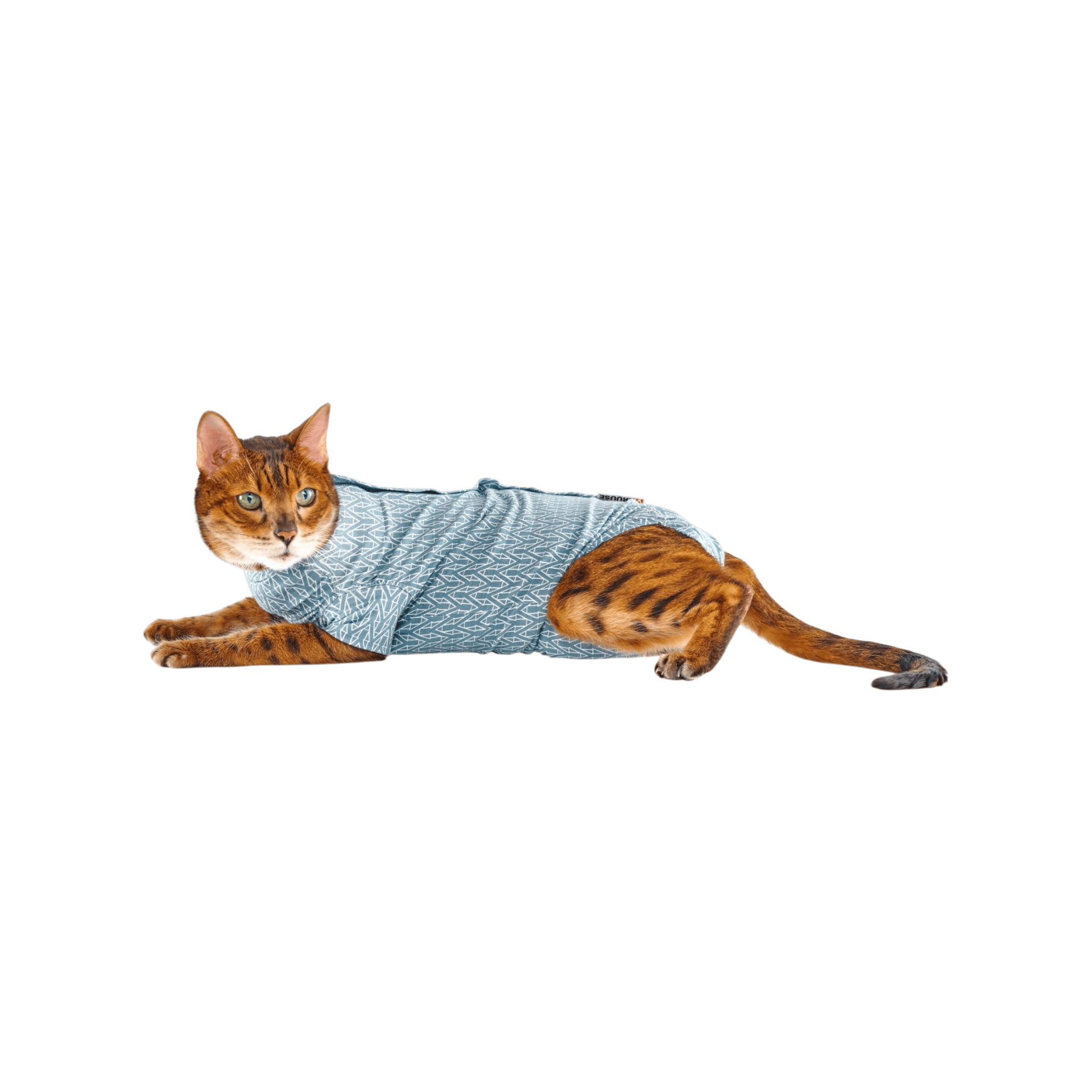 Obleček Body Suit Step'n Go Cats 3XS modrý BUSTER