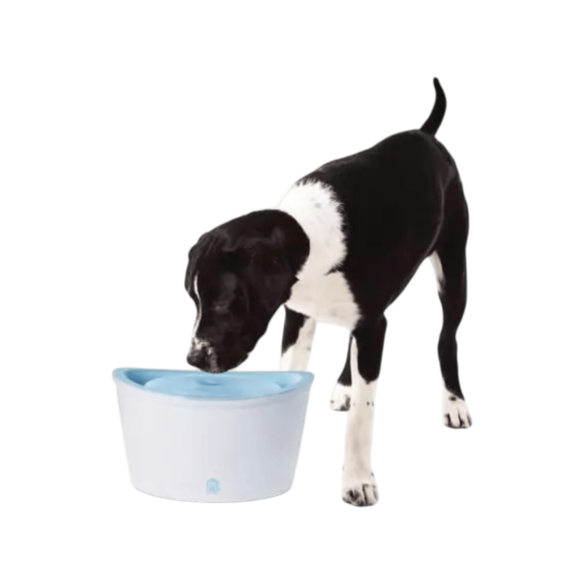 Fontána DOGIT plast velká 6l