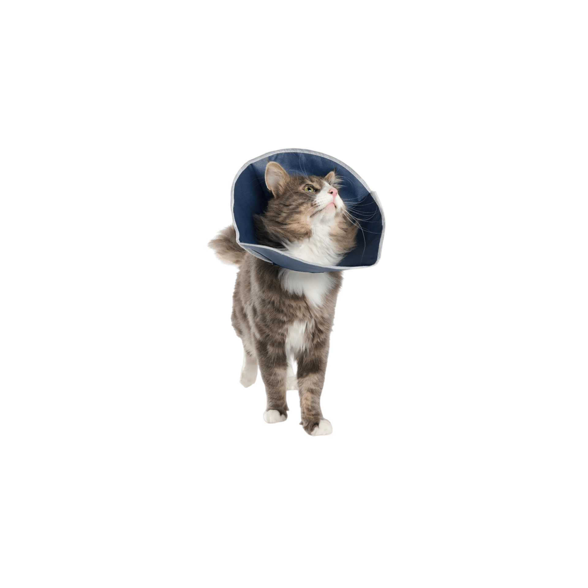 Límec ochranný BUSTER Soft Collar pro kočky 14cm 10ks