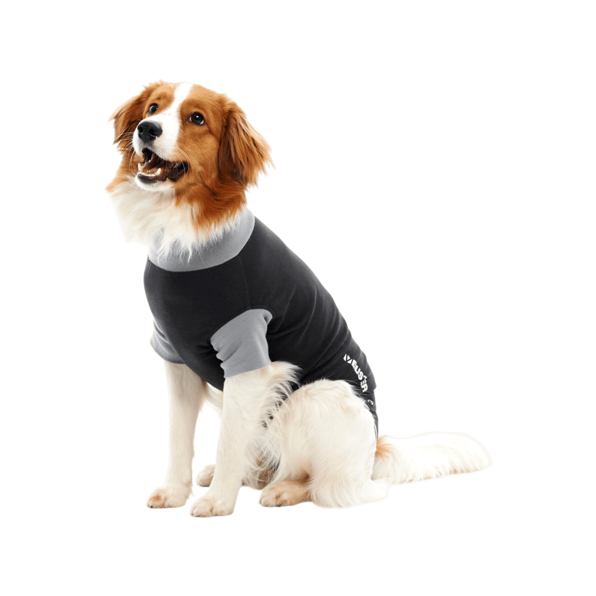 Obleček EasyGo Body Dog 52cm L BUSTER
