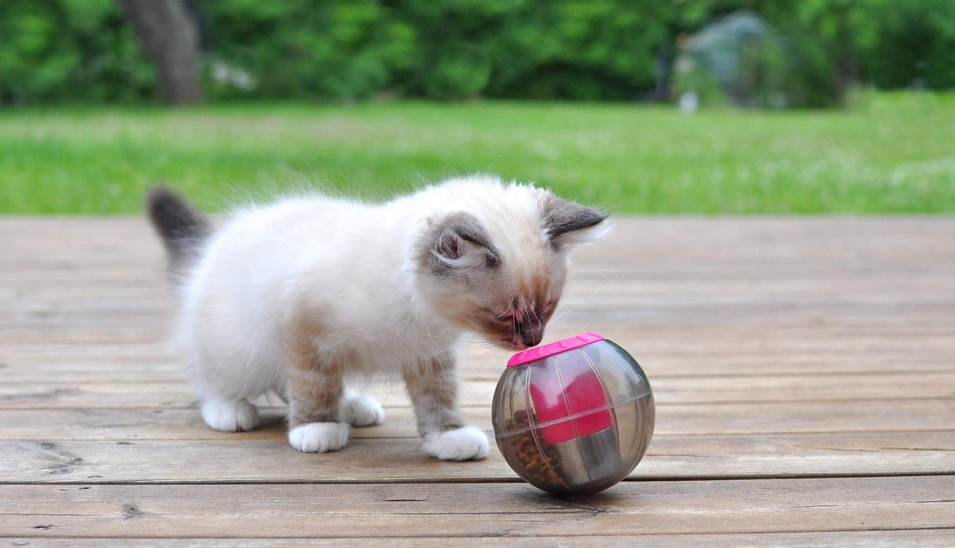 Hračka kočka CATRINE Catmosphere treat ball růžová