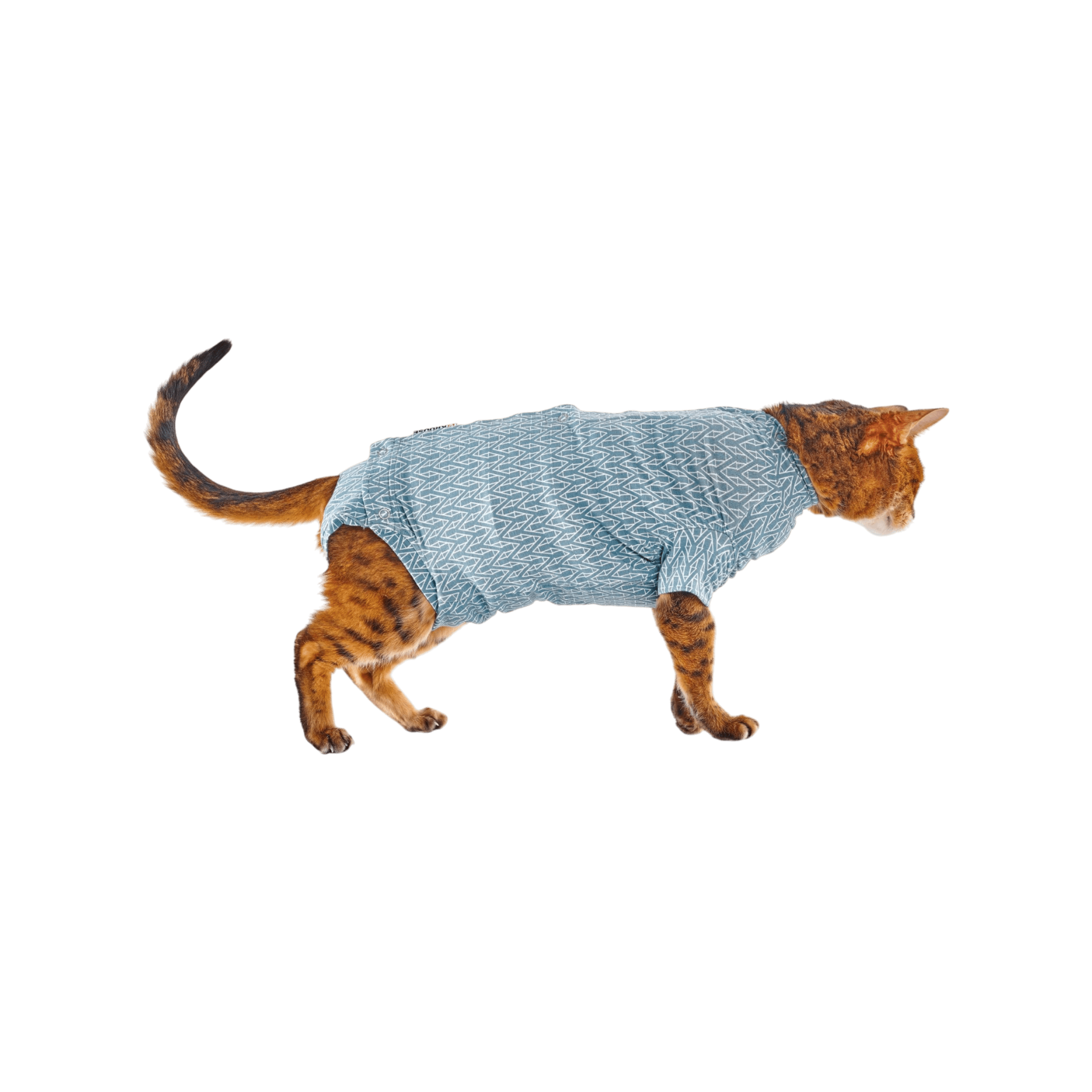 Obleček Body Suit Step'n Go Cats 3XS modrý BUSTER