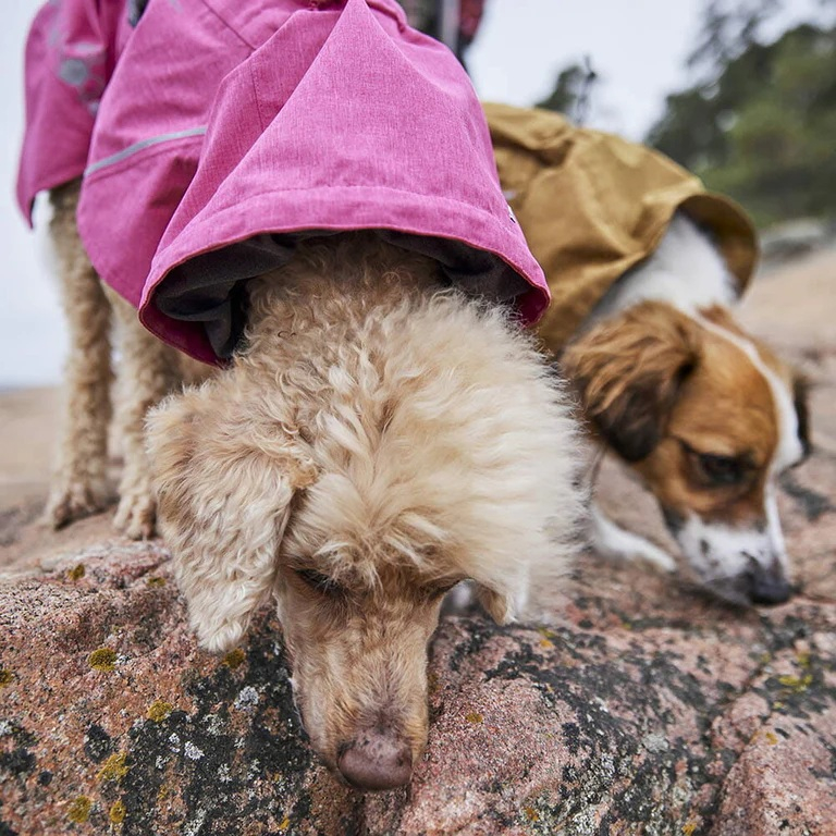 Obleček Hurtta Monsoon coat II ECO ostružinový 40XS