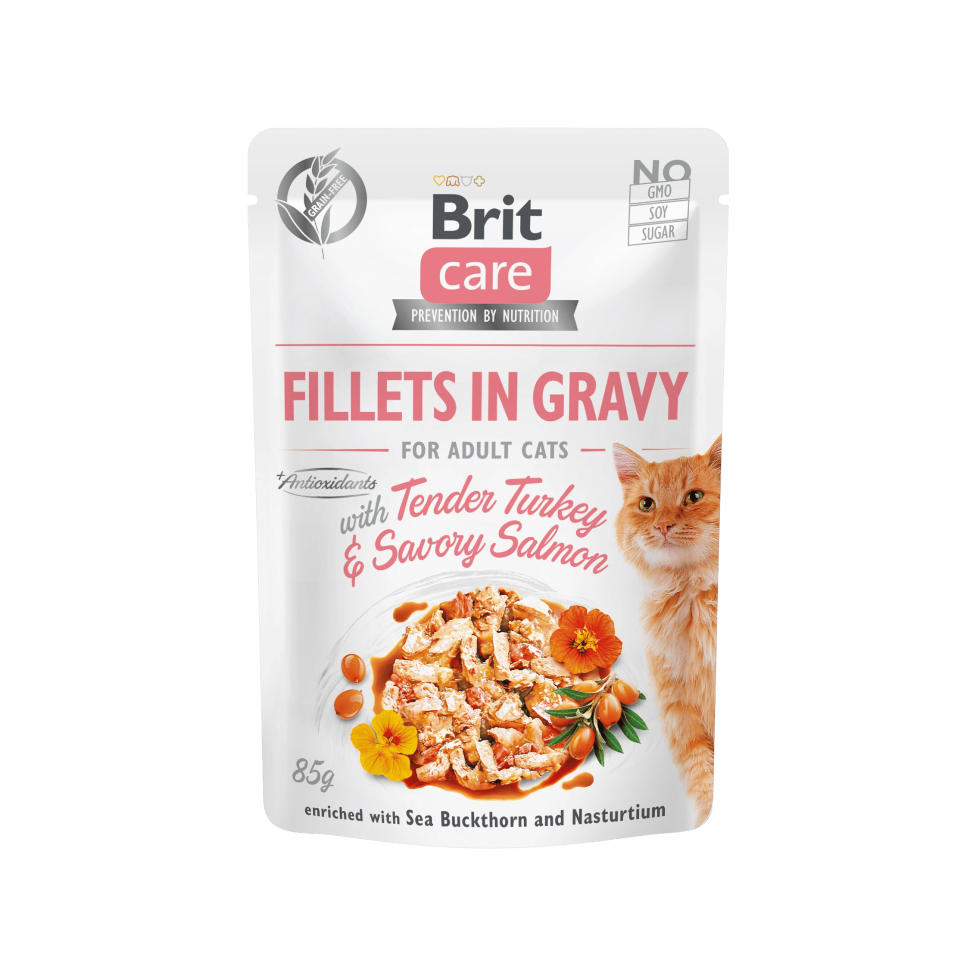 Brit Care Cat Fillets in Gravy Turkey&Salmon 85g