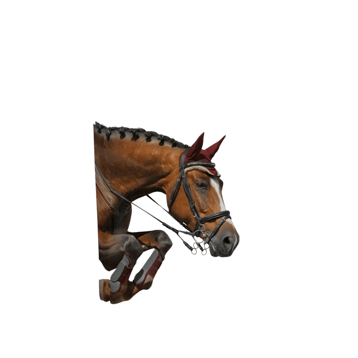 Mikrop Horse Sport Muscle Mash 15kg