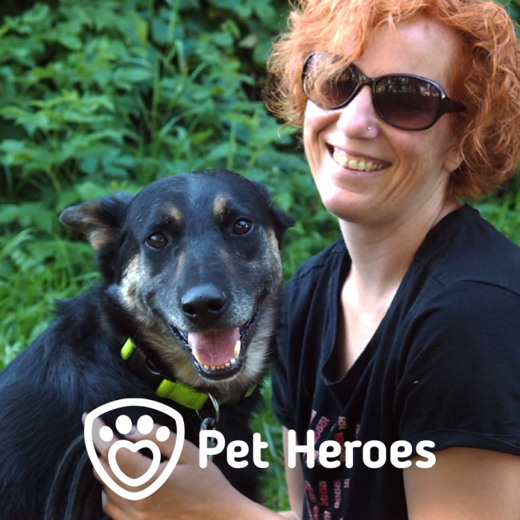 pet-heroes-image