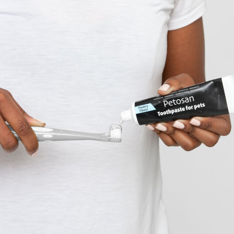 Sonický zubní kartíček Petosan