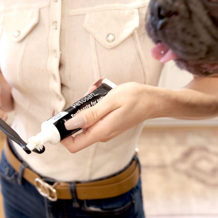 Dvoulhavý kartářek Petosan a zubní pasta