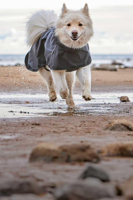 packu-hurtta-0326-HP-banner_plastenky2