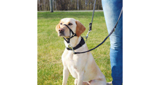 Ohlávka proti táhnutí Top Trainer L-XL 37cm TR