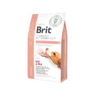 Brit VD Dog GF Renal 2kg