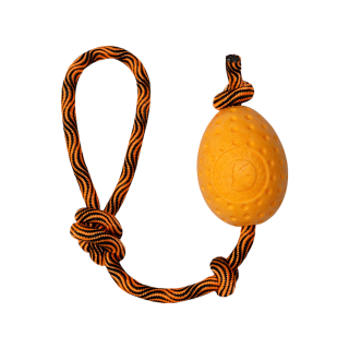 Hračka pes EGG MAXI plov. z TPR oranžová Kiwi