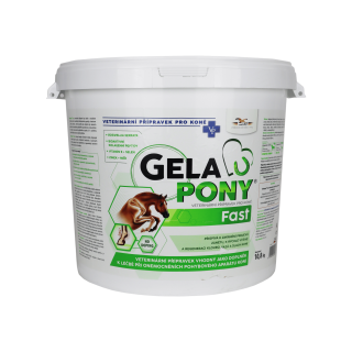 Gelapony Fast 10,8kg