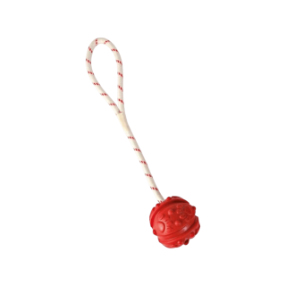 Hračka pes Míč plovoucí na šňůrce 7cm/35cm TR