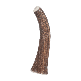 Pochoutka Jelení paroží celé HARD nad 20kg Zolux