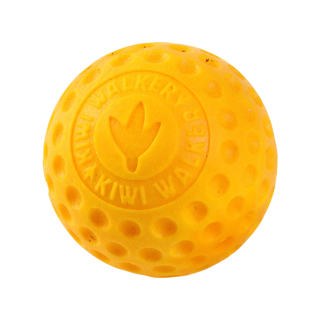 Hračka pes BALL MINI plov. z TPR oranžová Kiwi