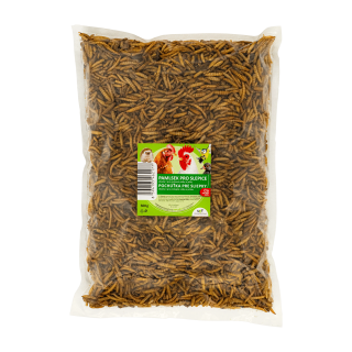 UGF pamlsek pro slepice 500g