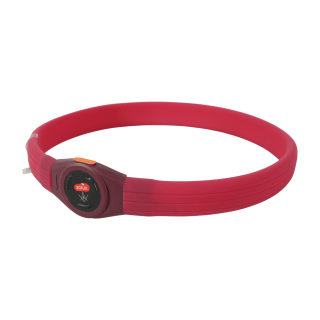 Obojek LED velký BIVOUAK 30-60cm USB červená Zolux