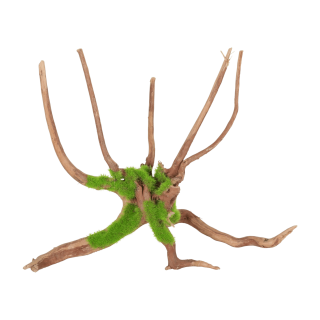 Akvarijní dekorace KIPOUSS pavoučí kořen M Zolux