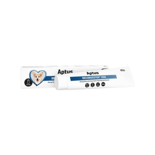 Aptus Recobooster Dog 100g