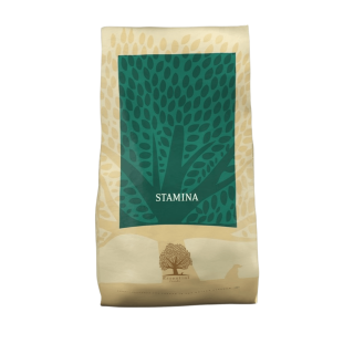 Essential Stamina 10kg