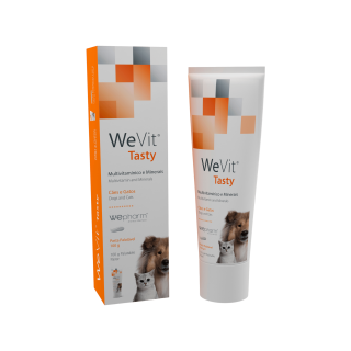 WeVit Tasty 100g