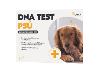 Pezz DNA test pro psy