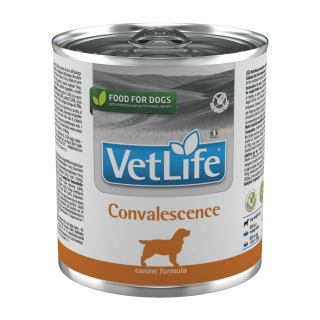 Vet Life Natural DOG konz. Convalescence 300g
