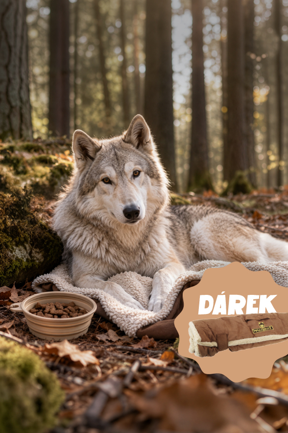 0926-packu-wolfsblut-deka_HP-banner