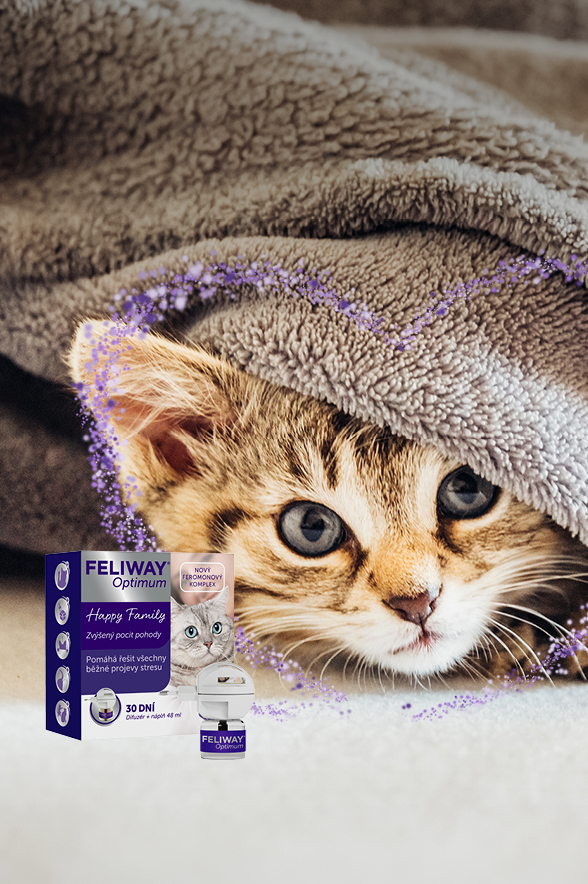 0926-packu-ceva-feliway_hp-banner_optimum