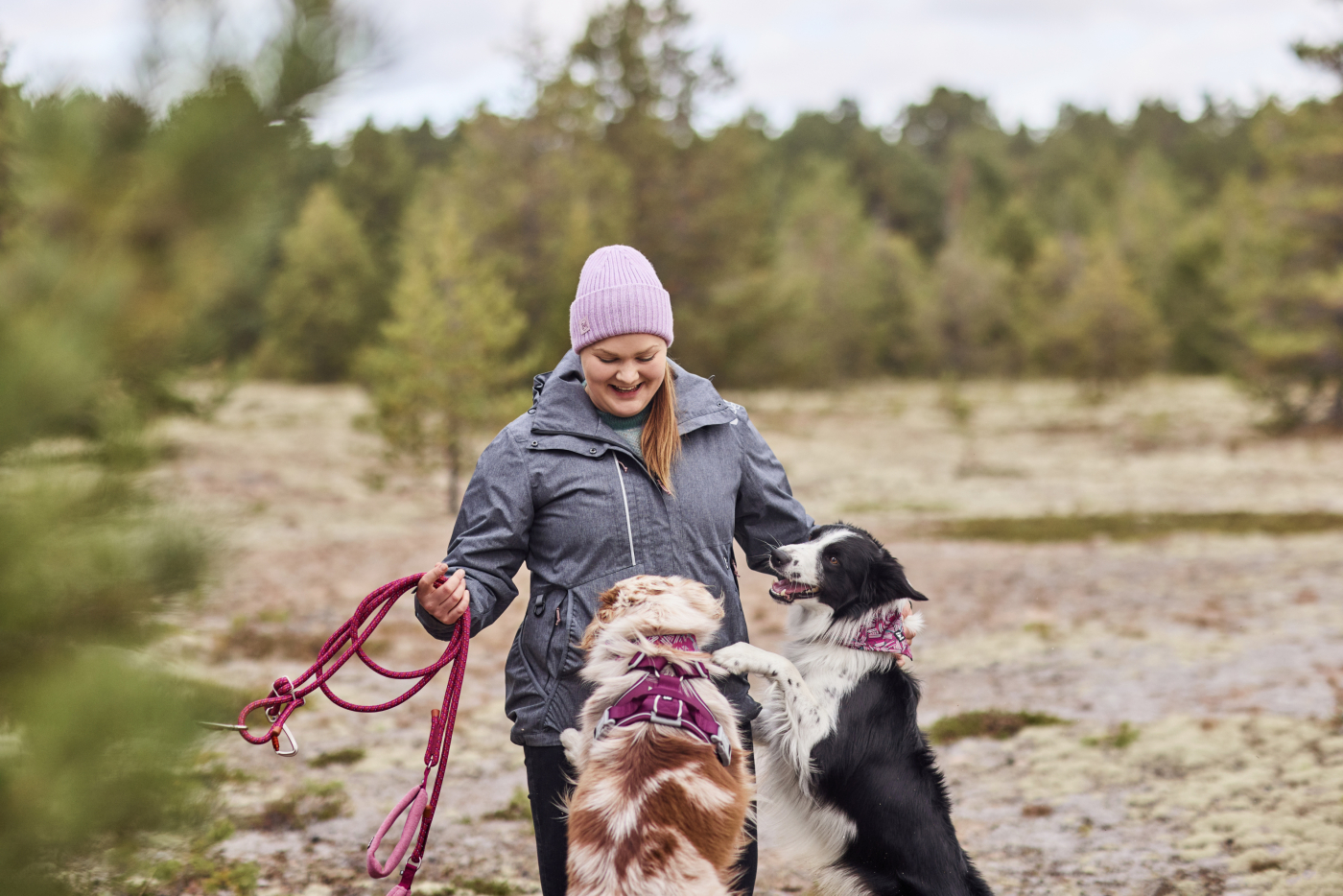 Bunda Hurtta výcviková Training ECO ostružinová XXL