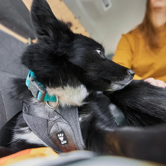 Postroj Hurtta Travel Harness ECO ostružinový 0-5kg