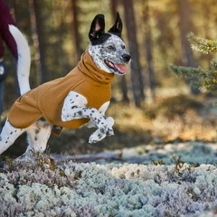 Obleček Hurtta Warming Midlayer ECO ostružinový 55