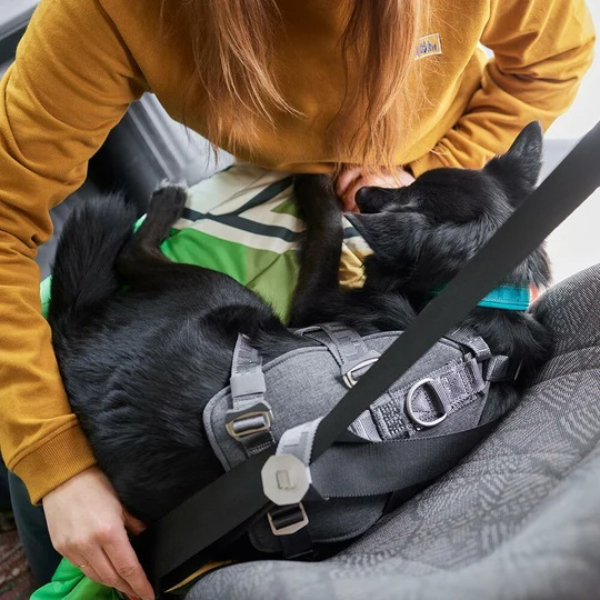 Postroj Hurtta Travel Harness ECO ostružinový 0-5kg