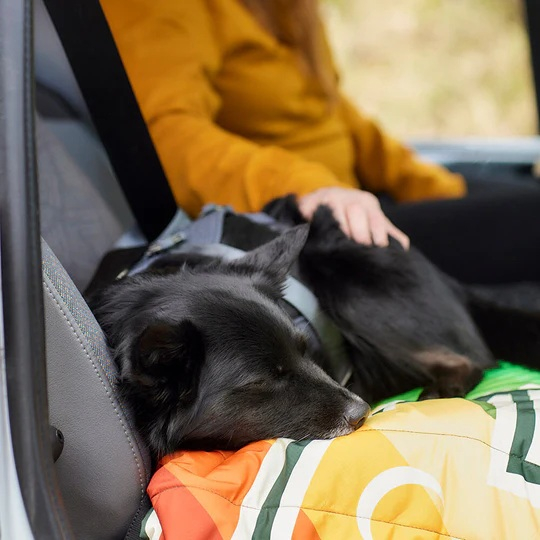 Postroj Hurtta Travel Harness ECO ostružinový 0-5kg