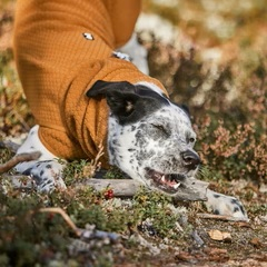 Obleček Hurtta Warming Midlayer ECO ostružinový 65