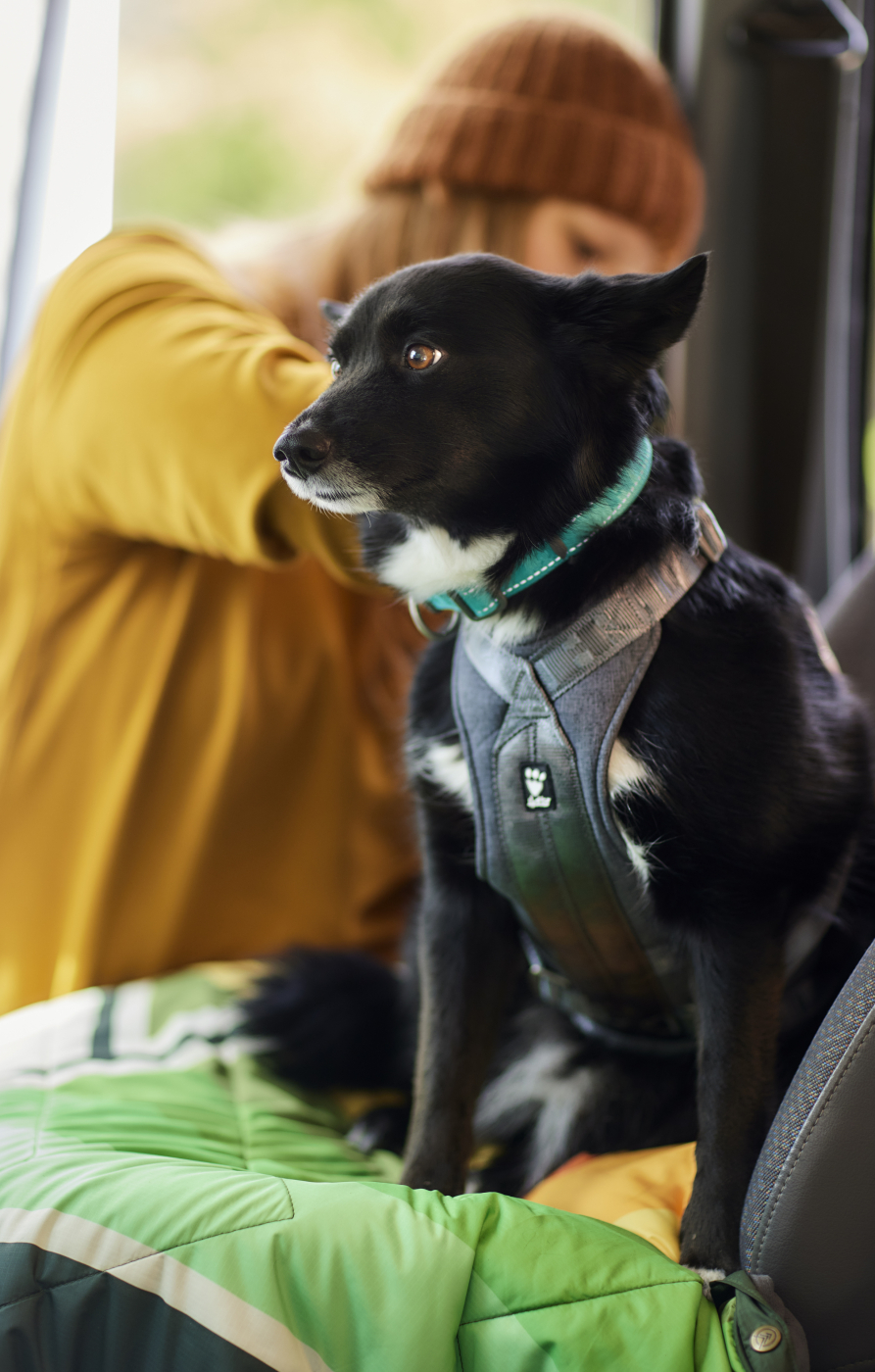 Postroj Hurtta Travel Harness ECO ostružinový 0-5kg