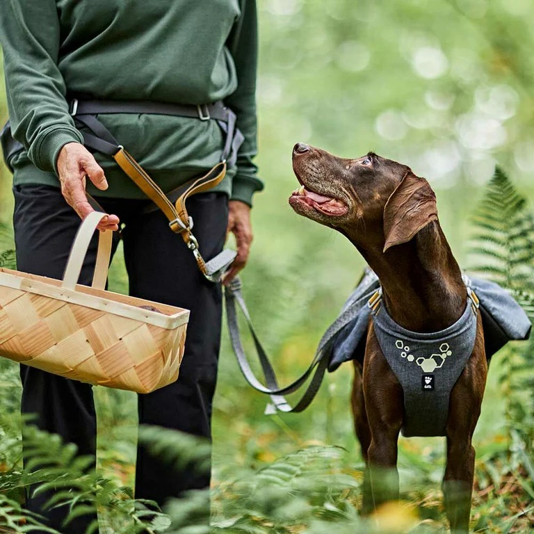 Pás Hurtta Expedition Belt ECO ostružinový 70-110