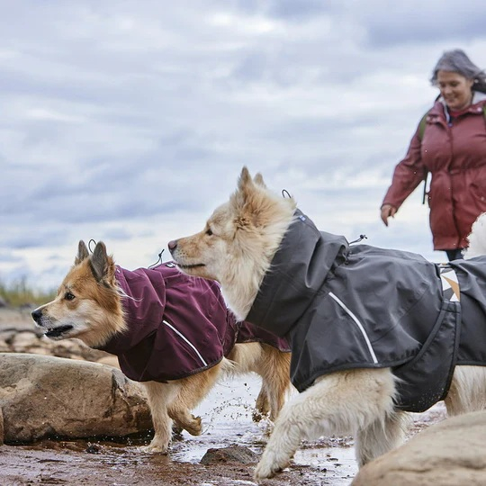 Obleček Hurtta Mudventure Coat ECO lilková 65
