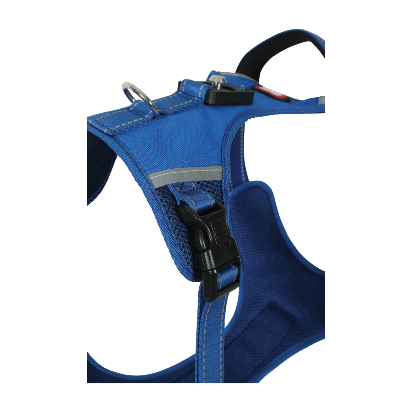 Postroj pes s vodítkem 2m CLIP&GO modrá XS Zolux