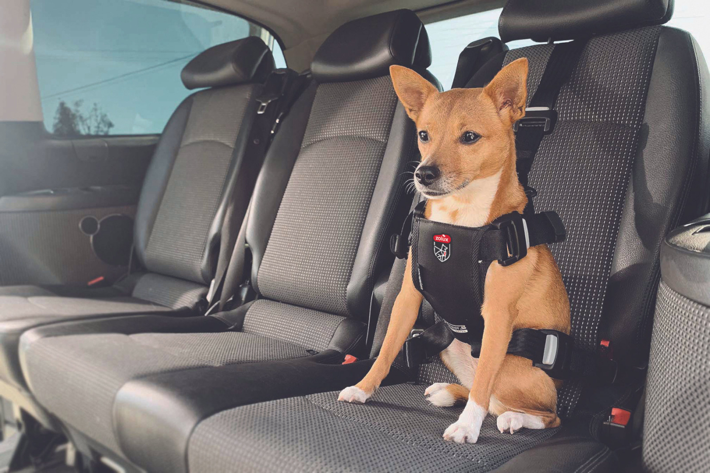 Postroj TRAVEL SAFE M Isofix černý Zolux