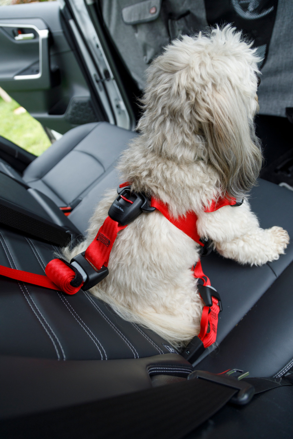Postroj TRAVEL SAFE S Isofix červený Zolux