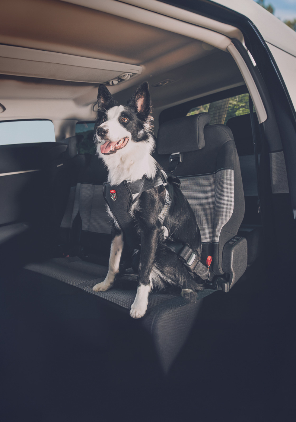 Postroj TRAVEL SAFE M Isofix černý Zolux