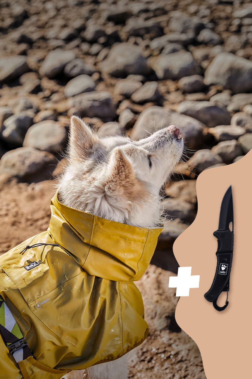 packu-hurtta-0326-HP-banner