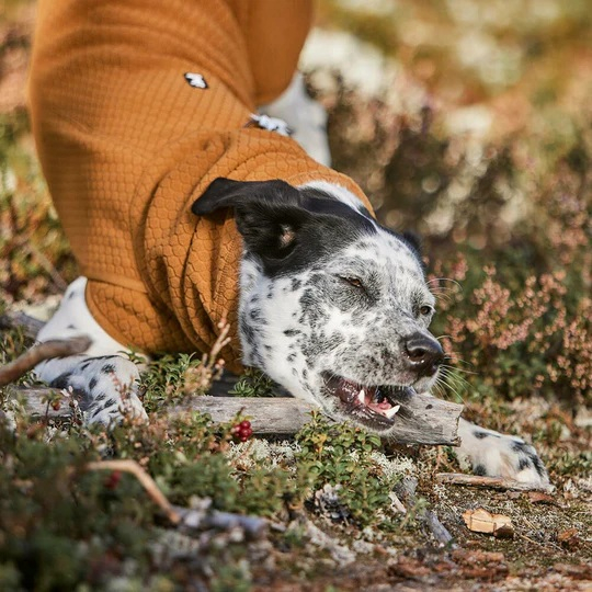 Obleček Hurtta Warming Midlayer ECO písková 60