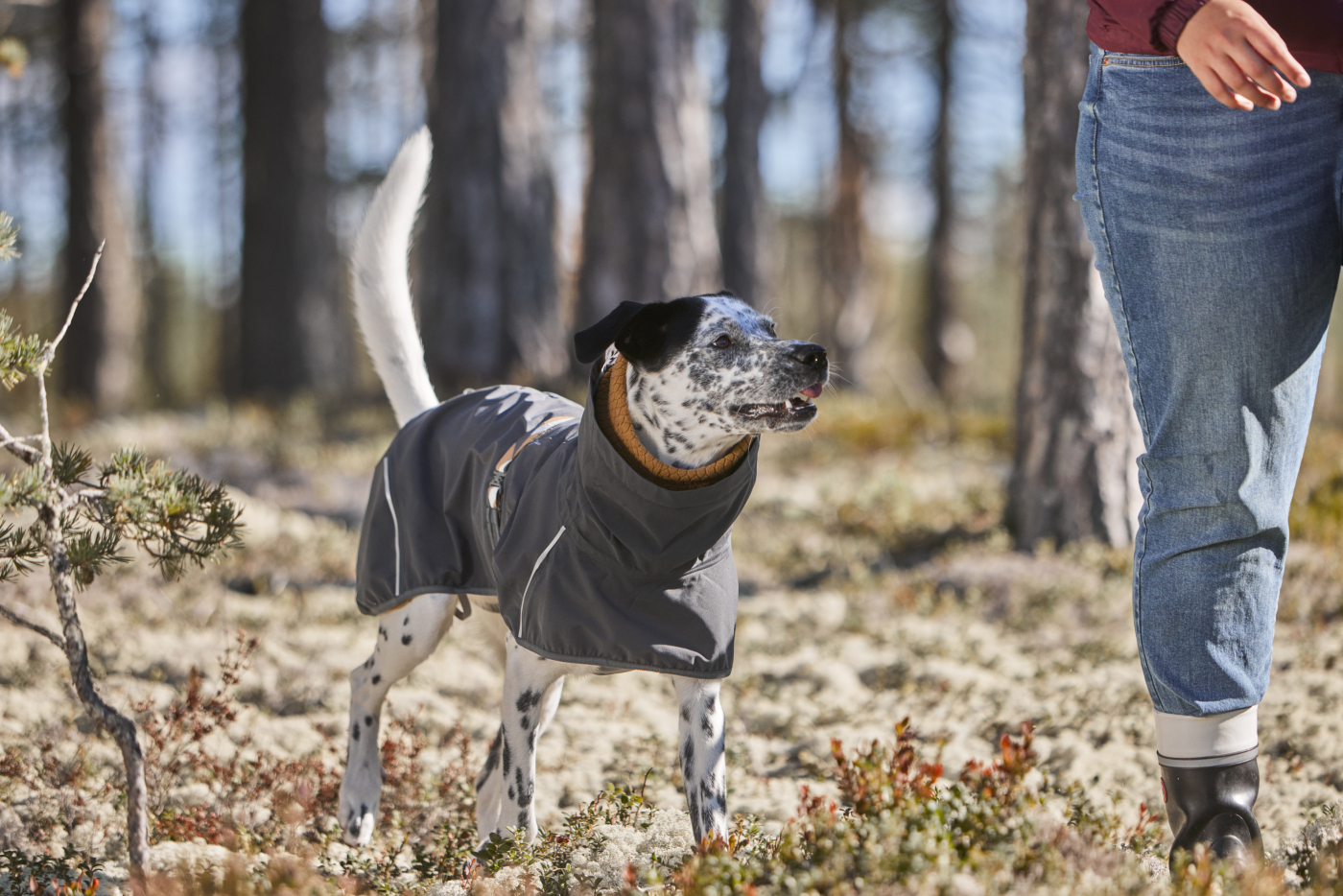 Obleček Hurtta Mudventure Coat ECO ostružinový 50