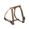 Hnědá